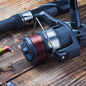 Fishing Reel Repair Services near Tampa Florida